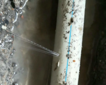 洛宁卫生间测漏水多少钱