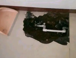 洛宁卫生间测漏水多少钱
